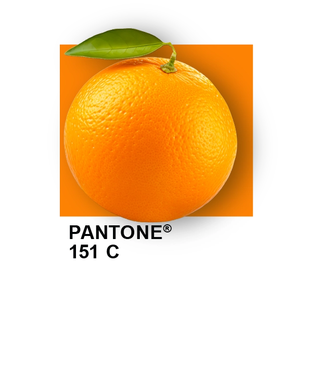 codaproofpantone151 codaproofpantone151