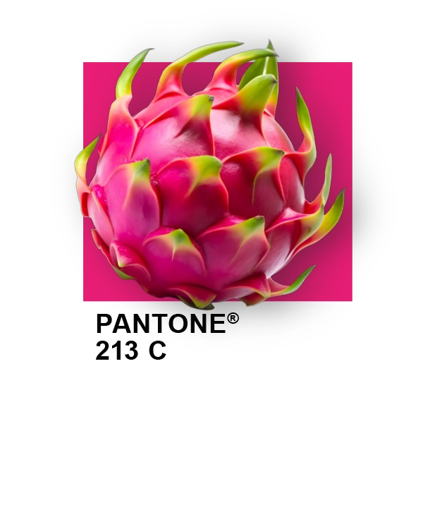 codaproofpantone213 codaproofpantone213