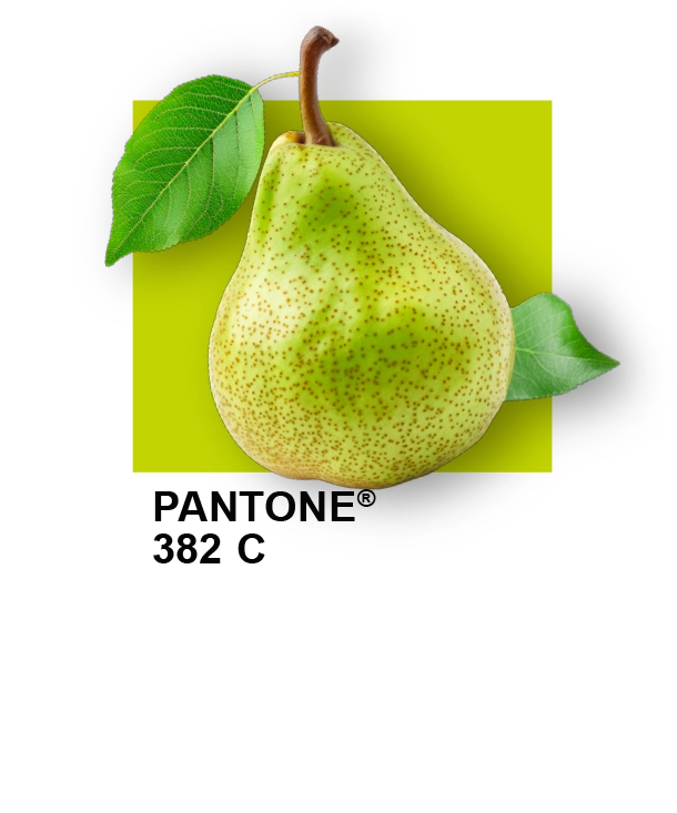 codaproofpantone382 codaproofpantone382