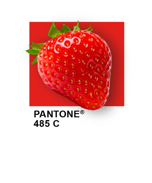 codaproofpantone485 codaproofpantone485